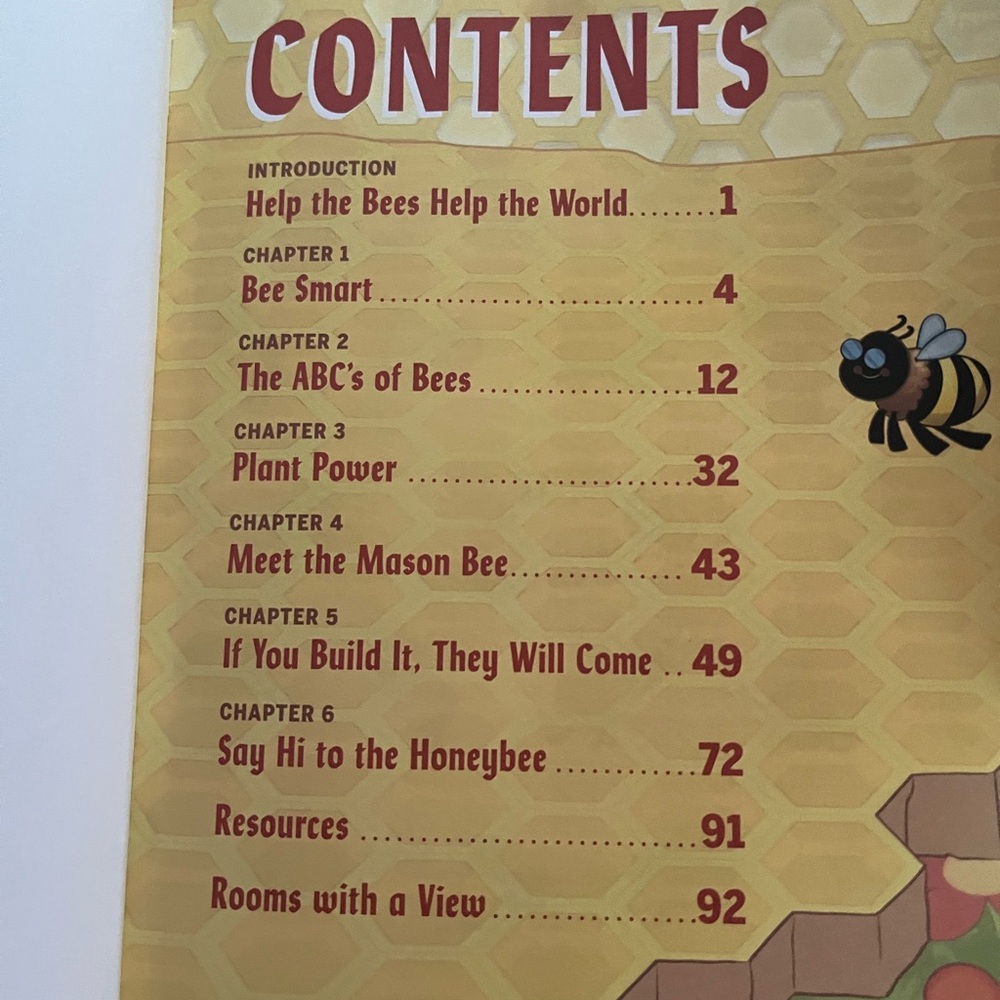 Turn This Book Into a Beehive! - Educational Activity Book - Picture 4 of 7